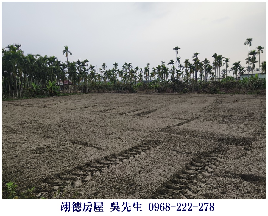 近麟洛鄉公所都農 - 3