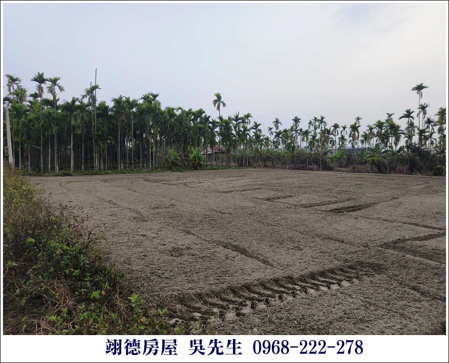 近麟洛鄉公所都農 - 8