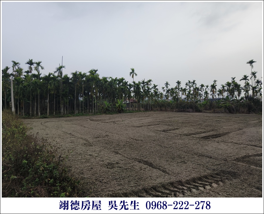 屏東縣麟洛鄉公所附近都農 - 8