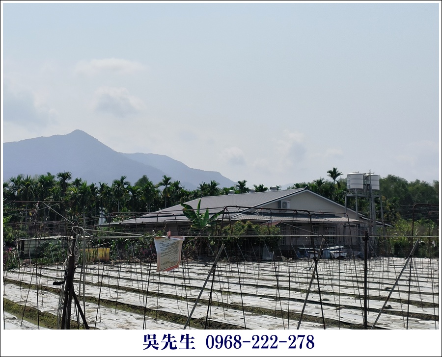 近鄉公所休閒農地 - 3
