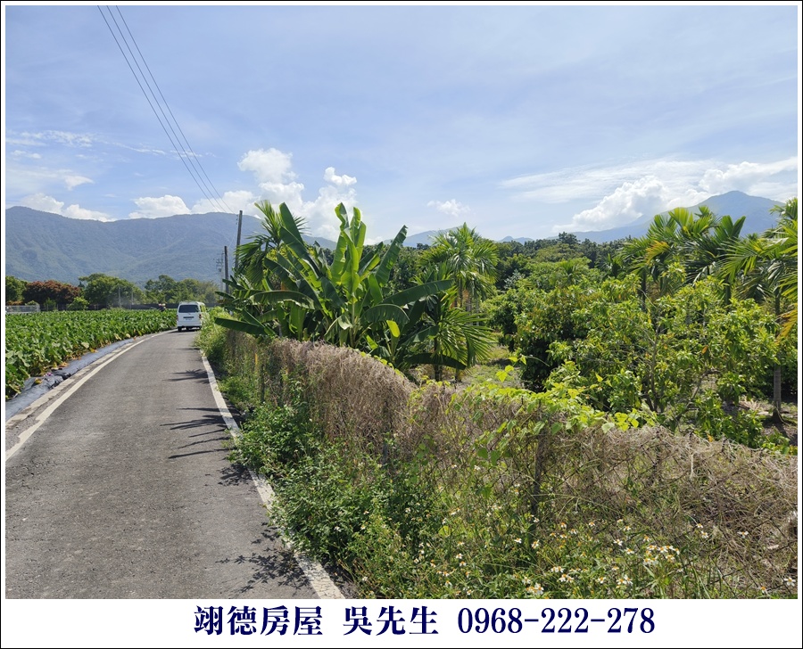 廣福山嵐果園農地 - 4