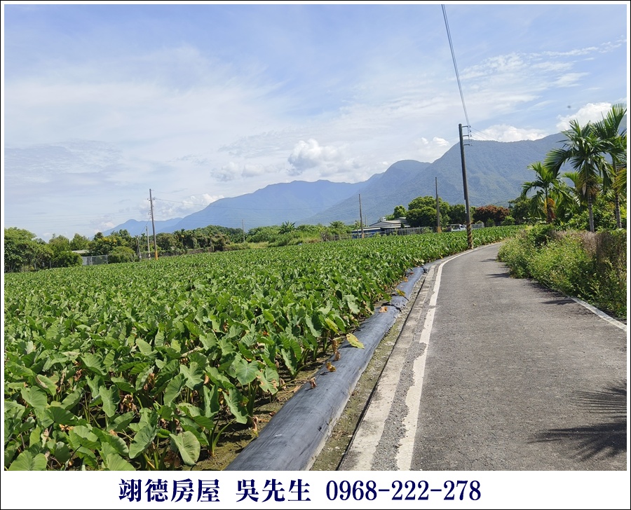 廣福山嵐果園農地 - 5