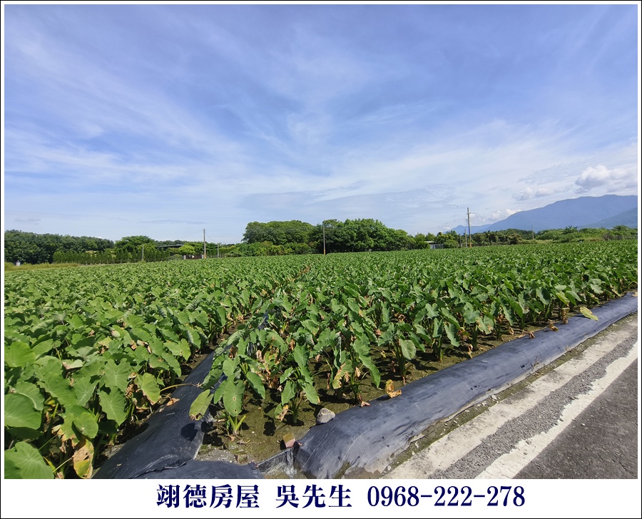 廣福山嵐果園農地 - 更多