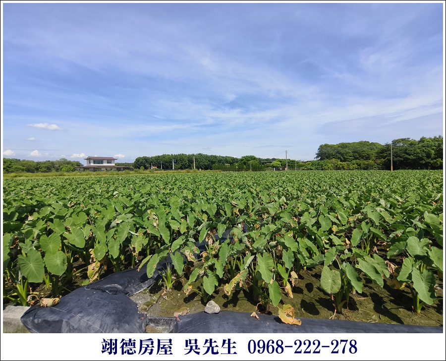廣福山嵐果園農地 - 7