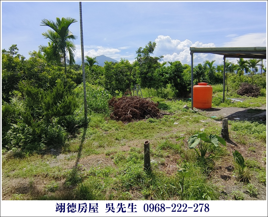 廣福山嵐果園農地 - 9