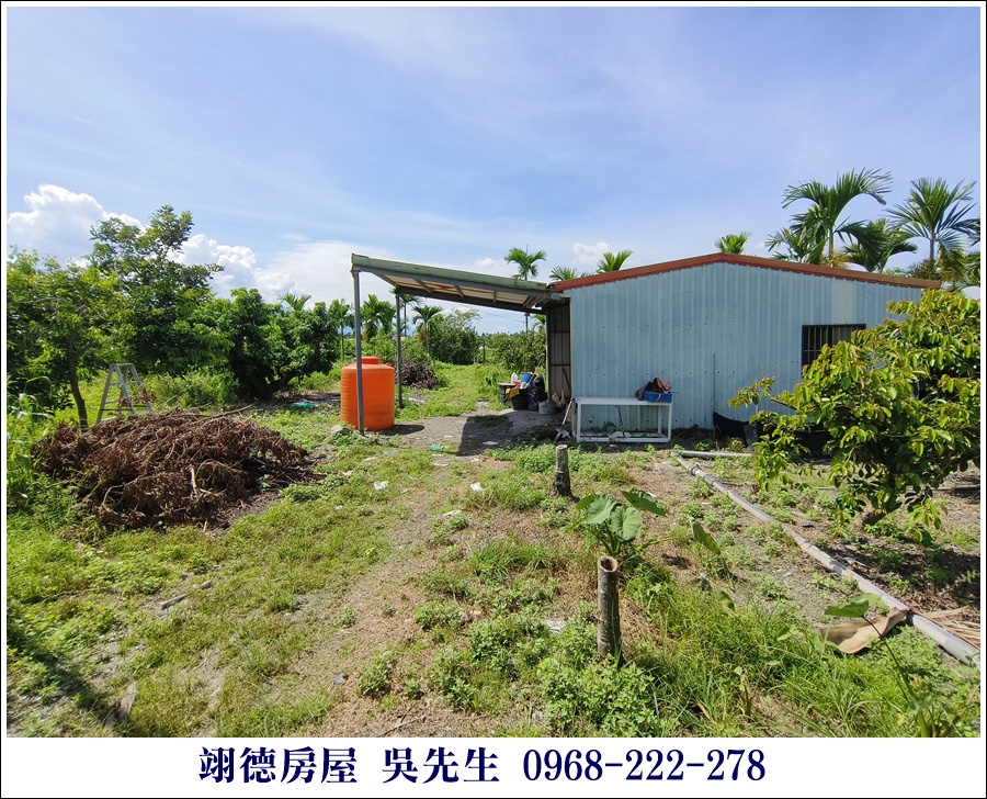 廣福山嵐果園農地 - 10