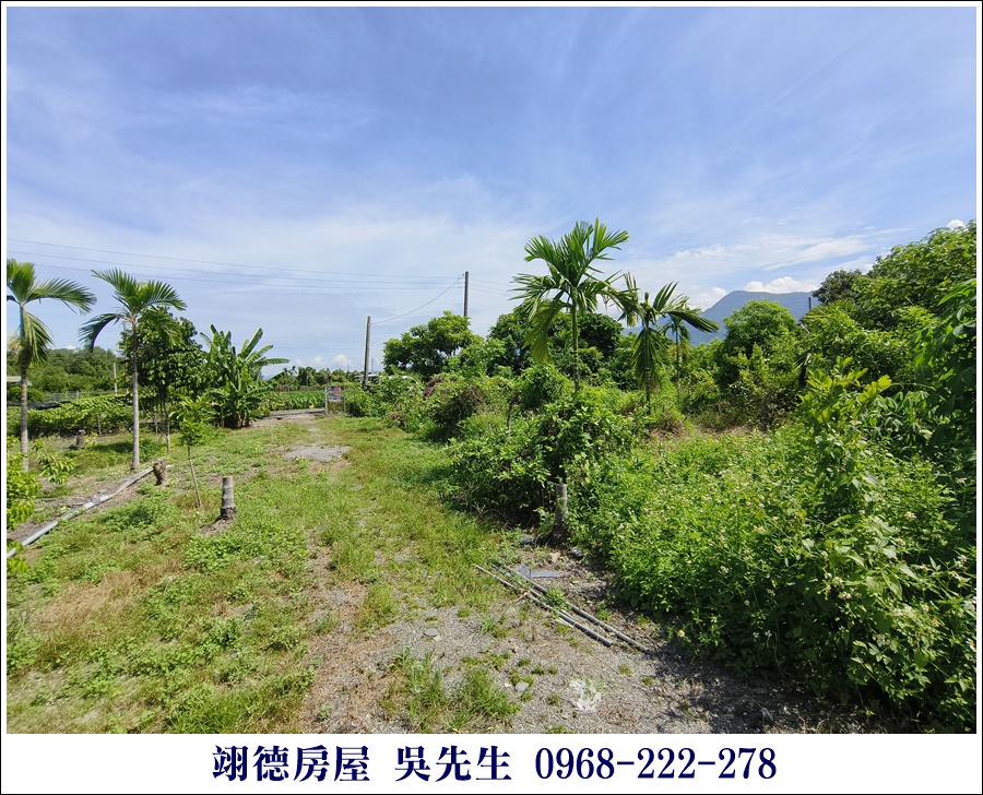 廣福山嵐果園農地 - 11