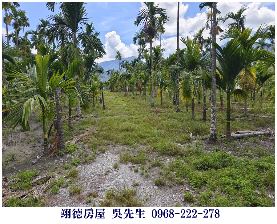 廣福山嵐之美興農路農地