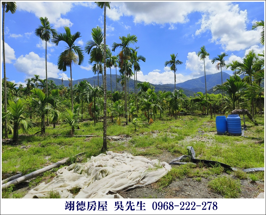廣福山嵐之美興農路農地 - 4