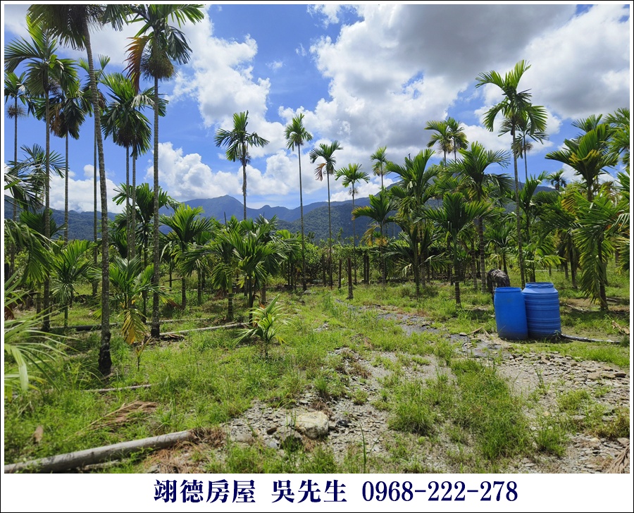 廣福山嵐之美興農路農地 - 5