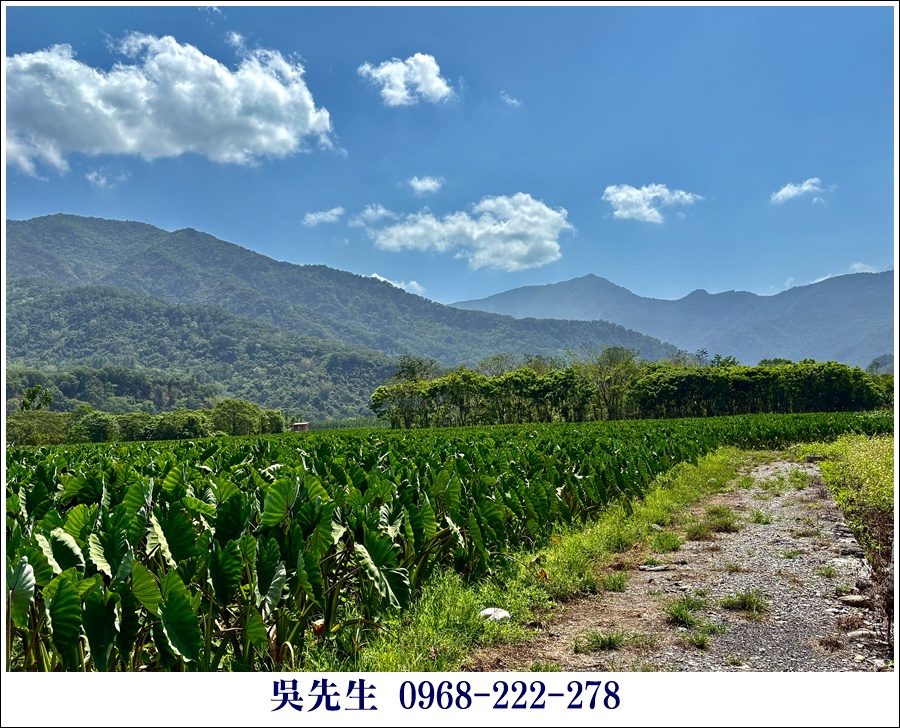 近大路關溫泉廣福山嵐農地 - 4