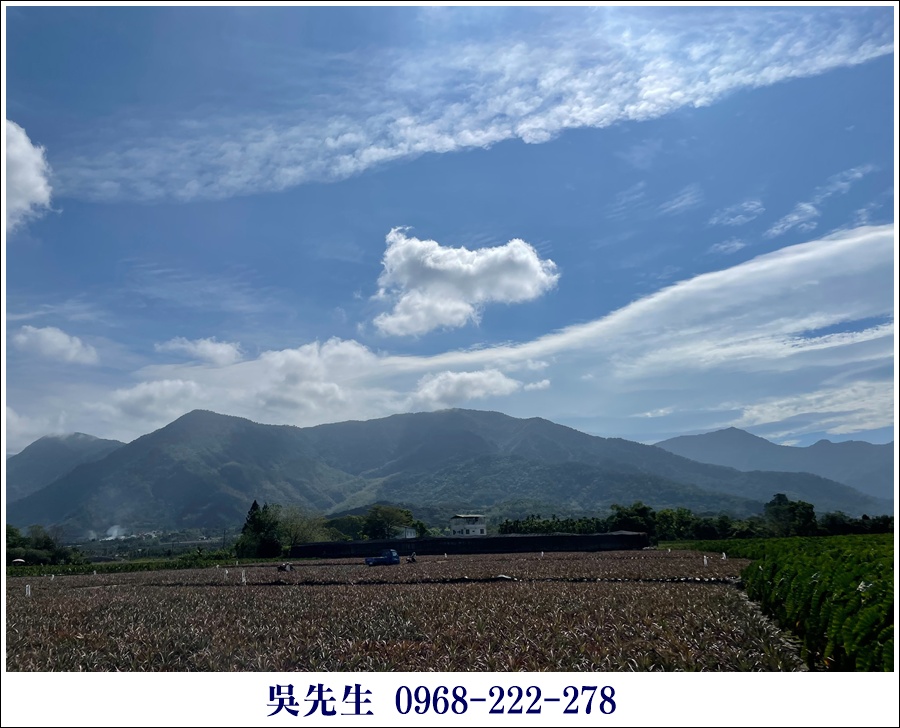 近大路關溫泉廣福山嵐農地 - 5