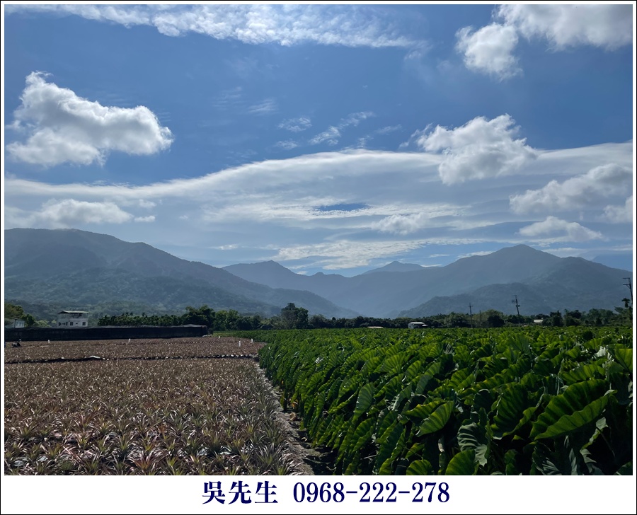 近大路關溫泉廣福山嵐農地 - 更多