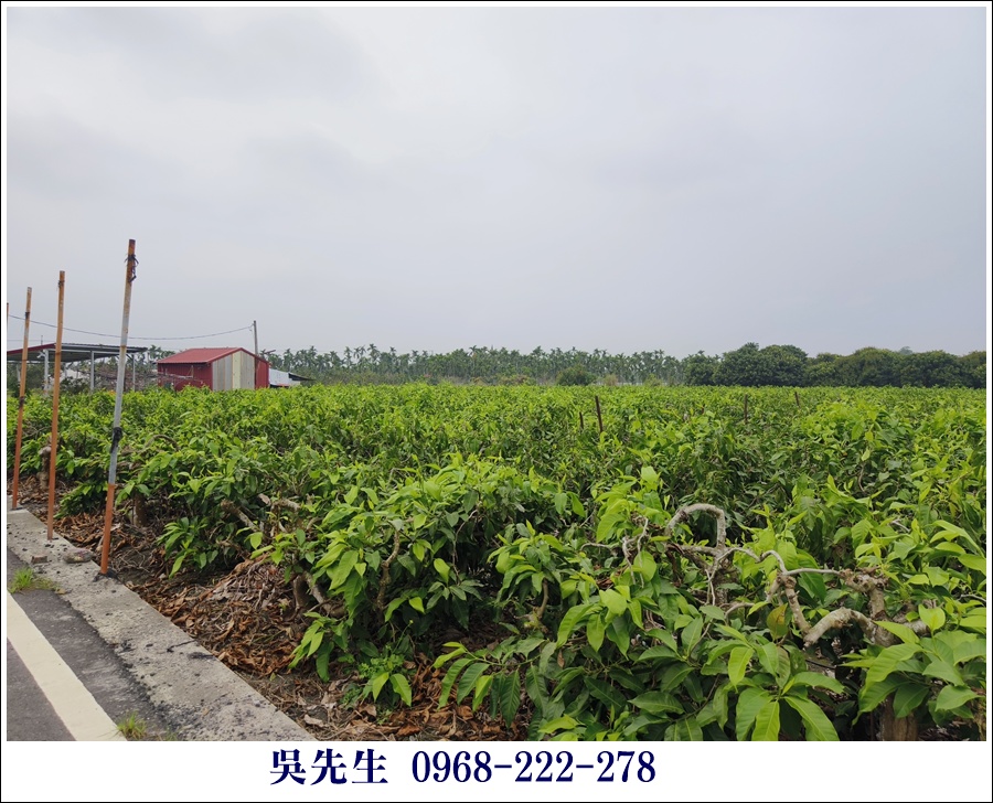 近大路關溫泉廣福山嵐農地 - 9