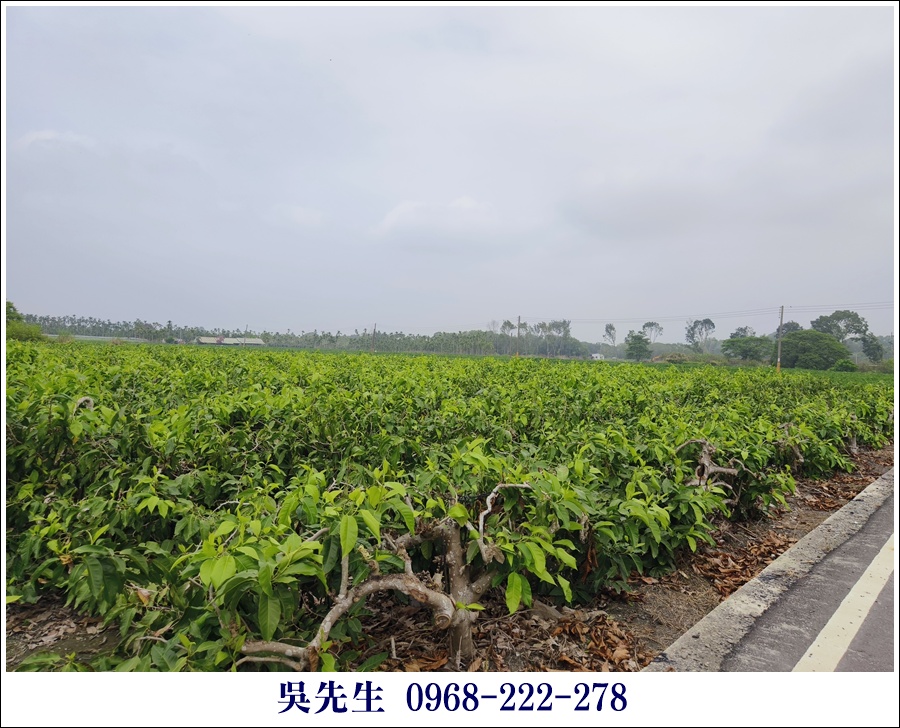 近大路關溫泉廣福山嵐農地 - 10