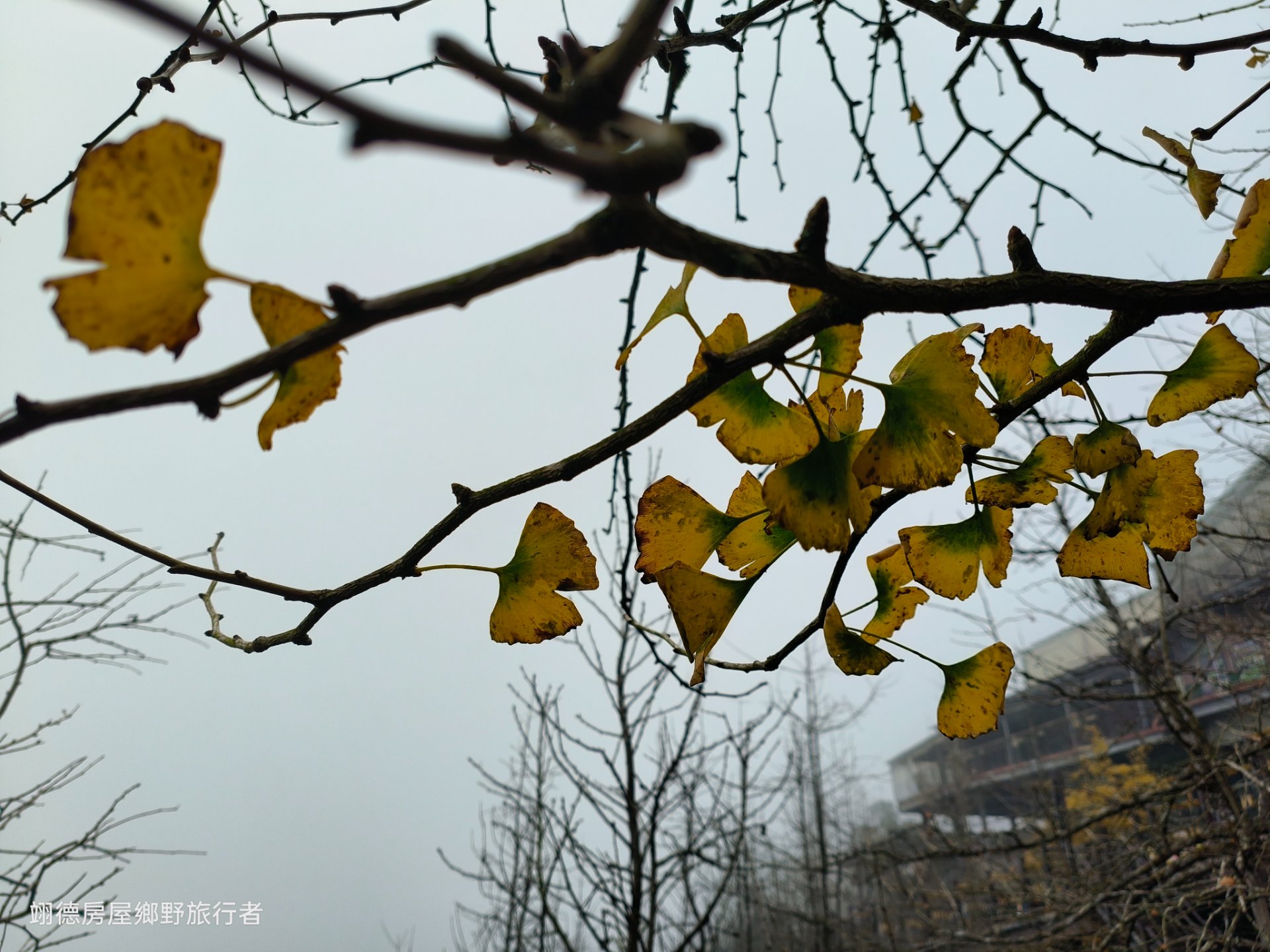 麟洛房屋專業團隊 屏東房仲