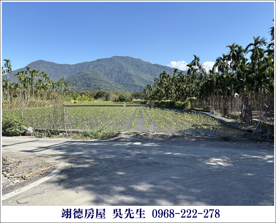 廣福大路關美麗山嵐農地
