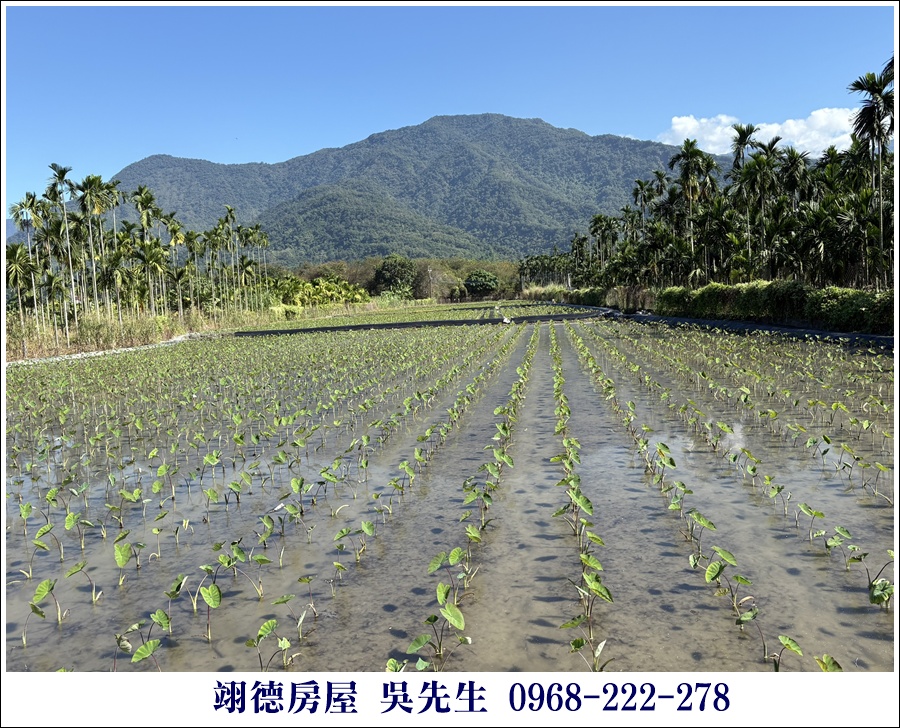 屏東廣福村美麗山嵐農地 2