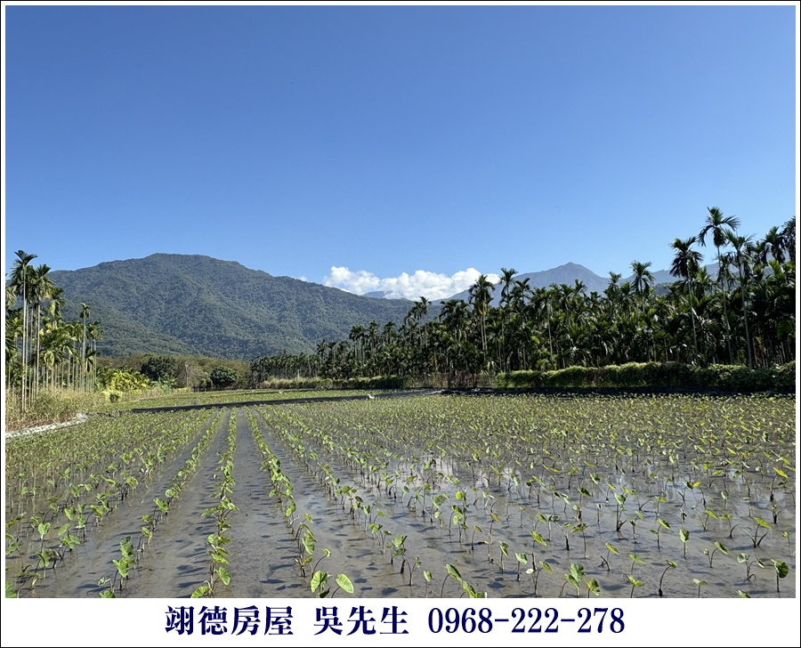 屏東廣福村美麗山嵐農地 5