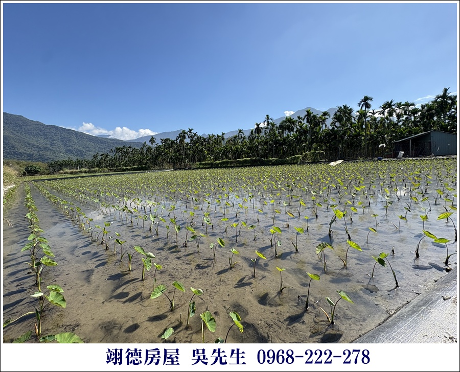 屏東廣福村美麗山嵐農地 6