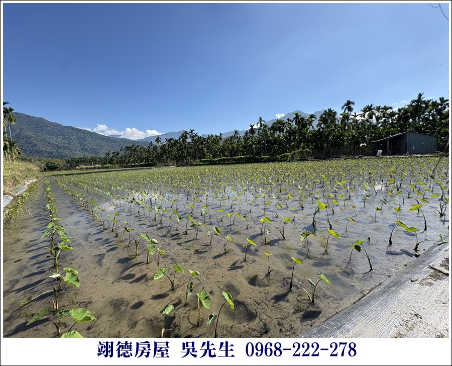 屏東廣福村美麗山嵐農地 7