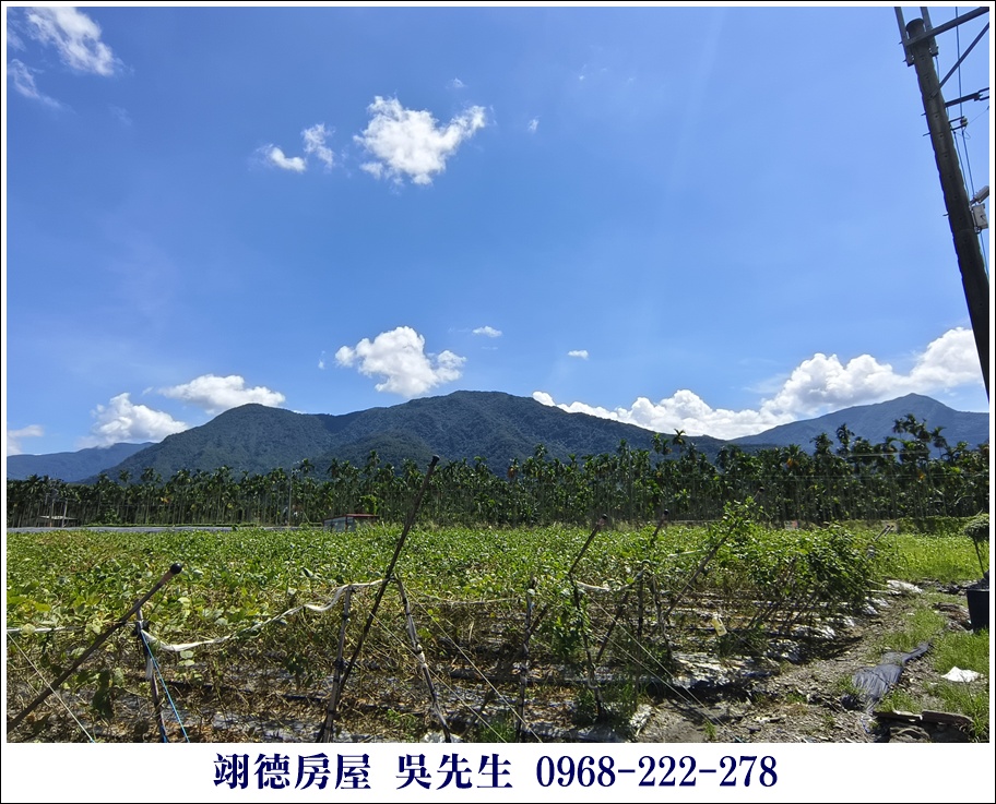 屏東廣福村美麗山嵐農地 11