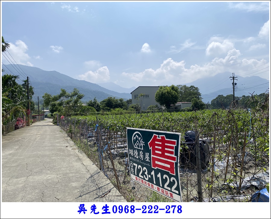 泰山農莊山嵐小農地